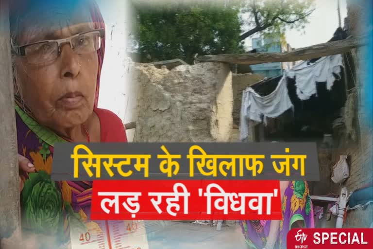 widow has been wandering for home in Kanpur dehat for many years