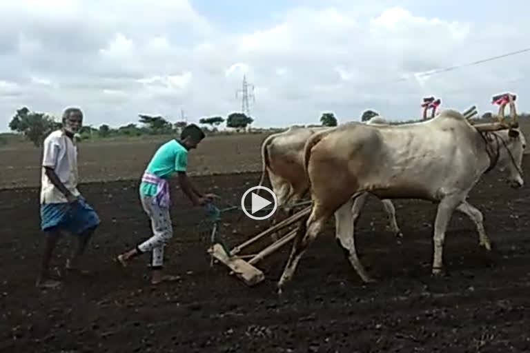 Hubli farmers waiting for rain