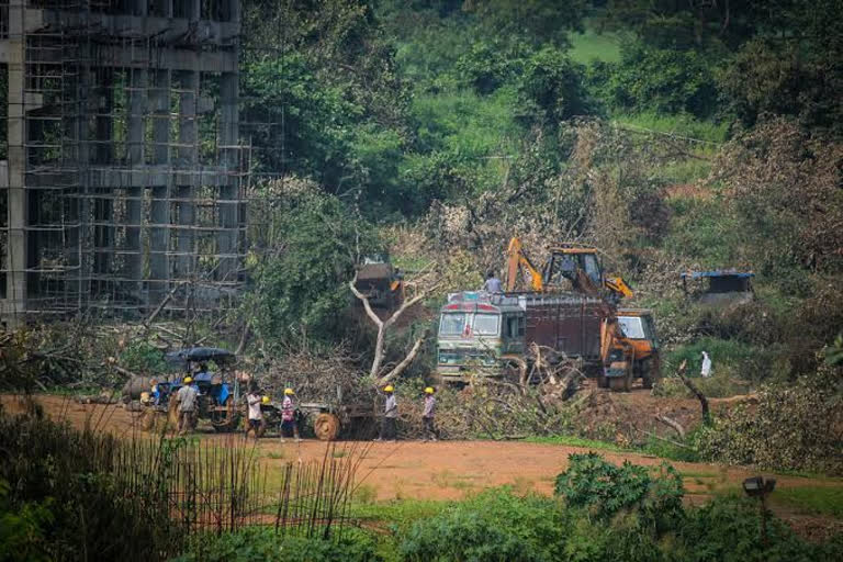 kirit somaiya latest news  kirit somaiya on aarey  aarey latest news  aary metro car shed issue  आरे मेट्रो कारशेड प्रकरण  आरे स्थिगिती न्यूज  किरोट सोमय्या लेटेस्ट न्यूज  आरेबाबत किरीट सोमय्या