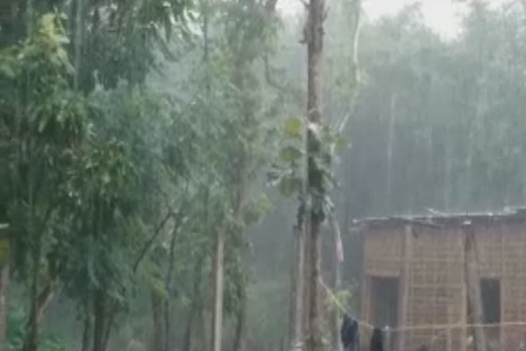 heavy rain in araria bihar