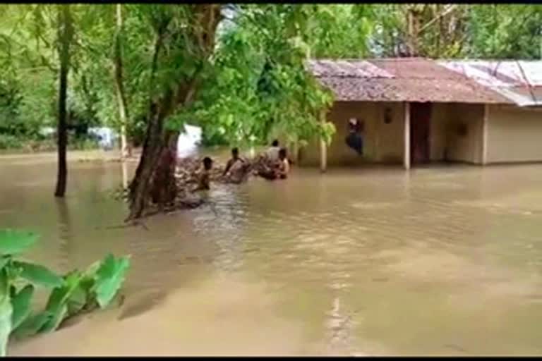 massive flood devastation by dikhow river in sivsagar