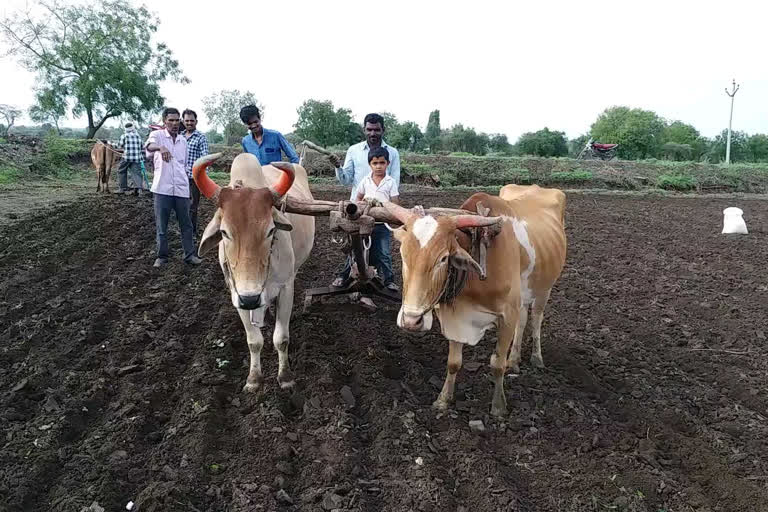 heavy rain jalna  heavy rain ambad  jalna rain news  heavy rain affect sowing  जालना पाऊस बातमी  जालना दुबार पेरणी