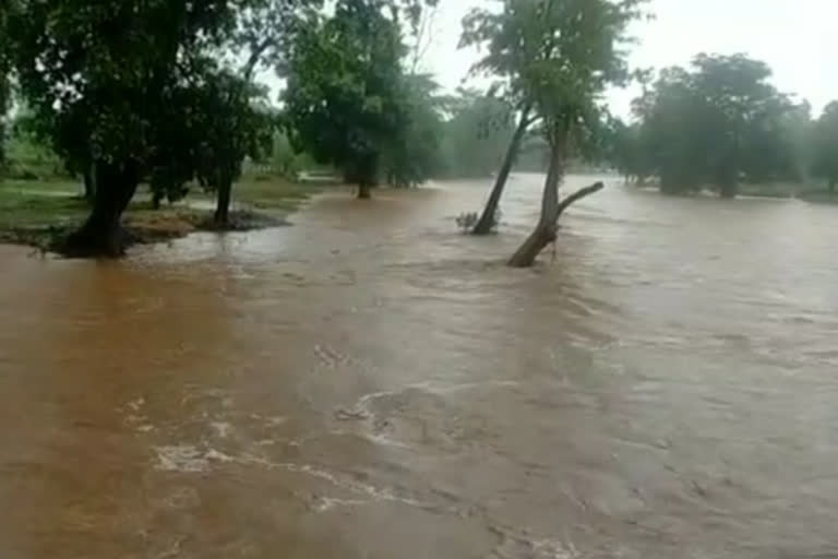 torrential-rain-in-kanker-since-saturday-night