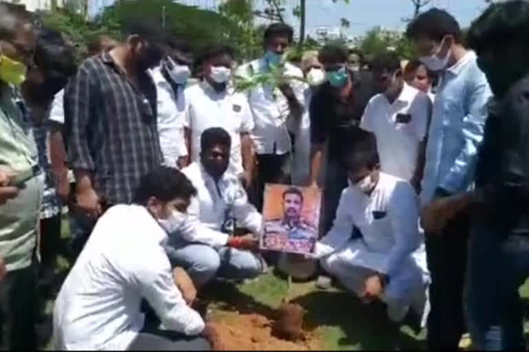 tree plantation programme at vishakapatnam