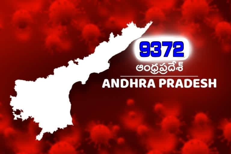 443-new-more-corona-positive-cases-conformed-in-andhra pradesh