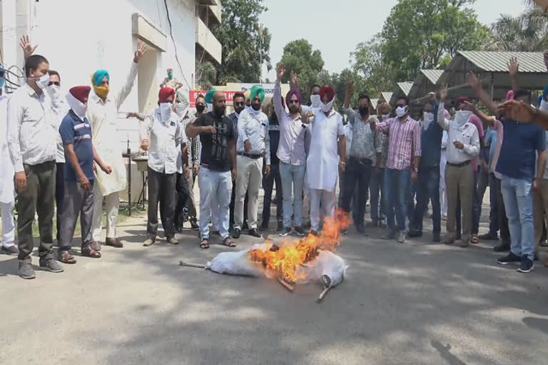 teachers staged a protest in faridkot against the statement made by health minister sidhu calling teachers idle