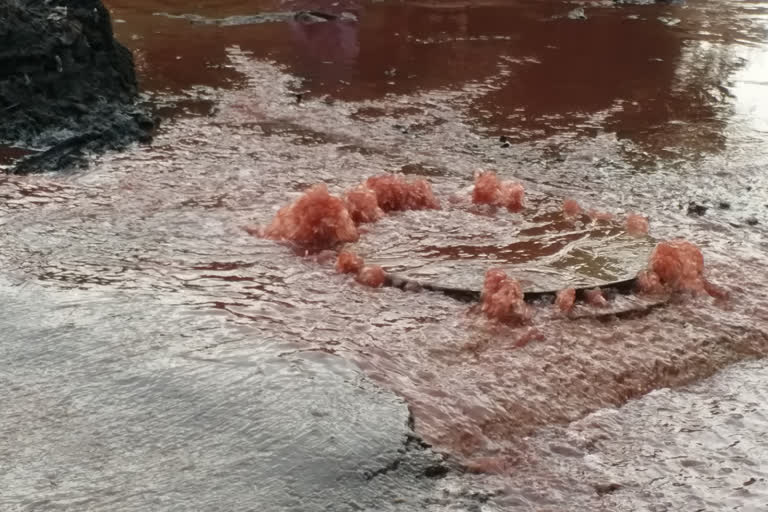 people-disturbed-by-overflow of chemical water on road in panipat