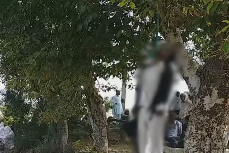 dead body of youth found hanging from tree in mahmoodpur village of gohana