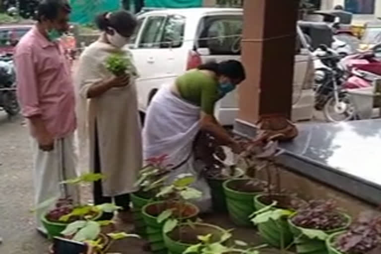 മലപ്പുറം  malappuram  Vegetable cultivation  നിലമ്പൂർ  Nilambur Municipality