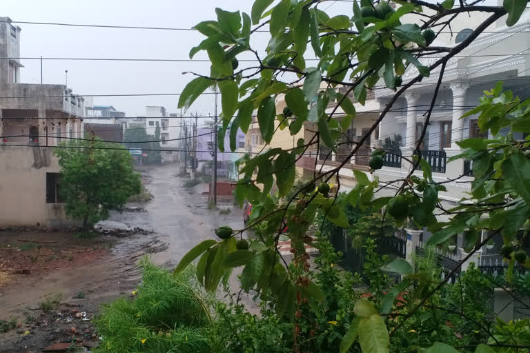 rain in bhopal