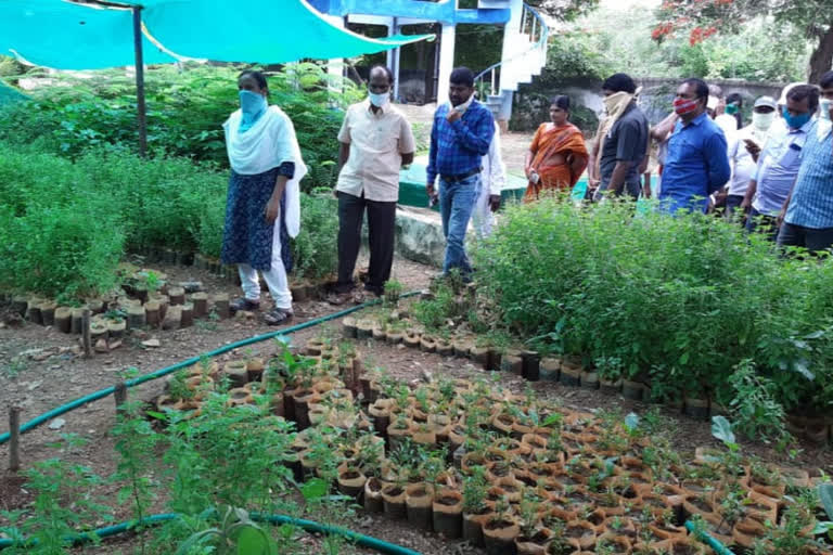 వరంగల్ గ్రామీణ జిల్లాను అగ్రస్థానంలో నిలపాలి: కలెక్టర్‌