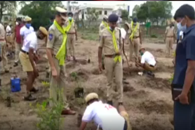 మియవాకీ తరహా చిట్టడువుల పెంపకానికి రెండోసారి శ్రీకారం