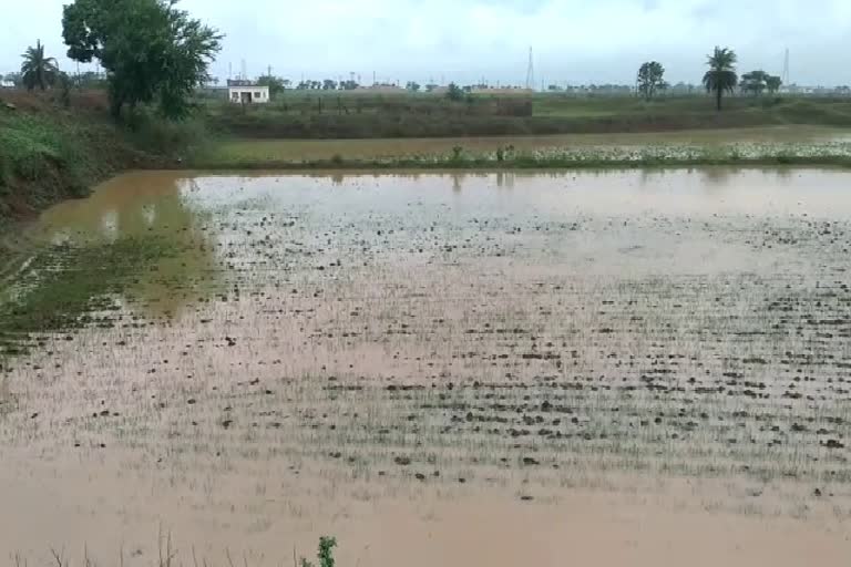 filling of fields stopped plowing