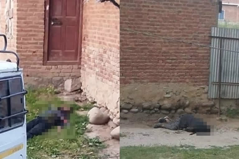 jammu-kashmir-encounter-two-unidentified-terrorists-were-killed-in-bandzoo-pulwama