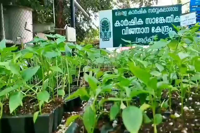 Kerala Agricultural university  njattuvela thrissur  കേരള കാർഷിക സർവകലാശാല  ഞാറ്റുവേല ചന്ത