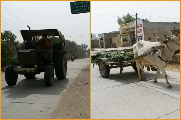 Hindumalkot border of Sriganganagar, श्रीगंगानगर न्यूज