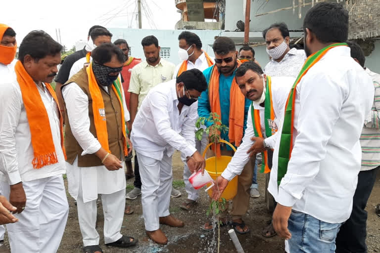 adilabad mp soyam bapu rao planted trees at kumurambheem asifabad collectorate