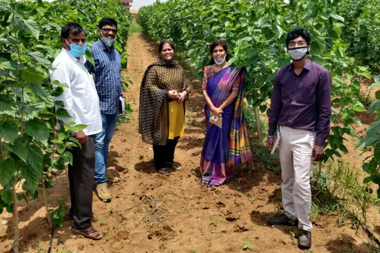 Horticultural officer Poly Houses In Ranga Reddyd District