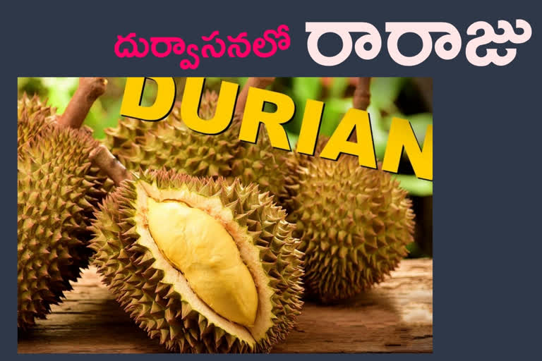 durian news