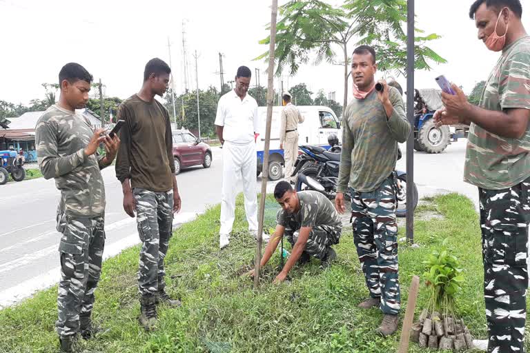 plantation by CRPF in Chirang District