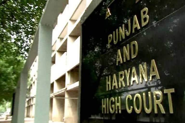 punjab haryana high court news