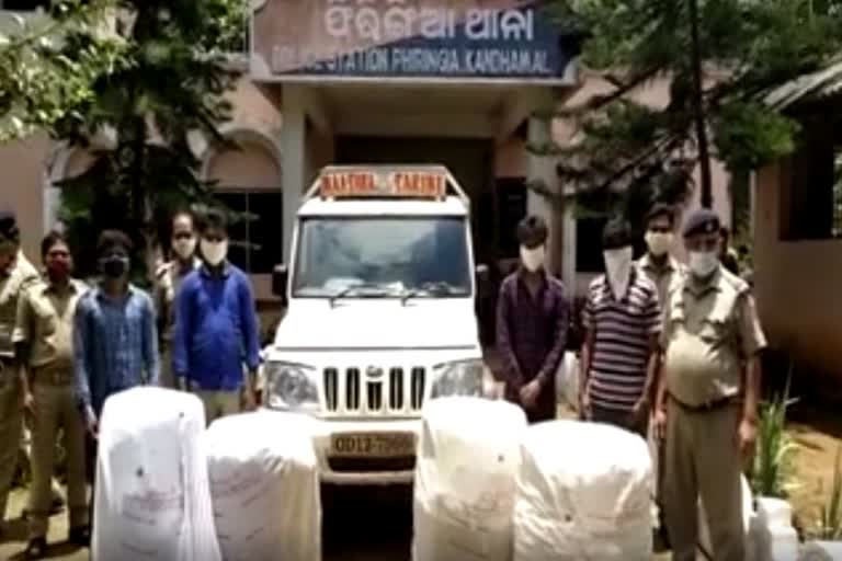 phulbani-cannabis-seized-by-police