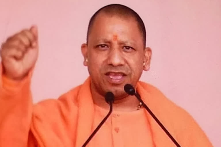 yogi government