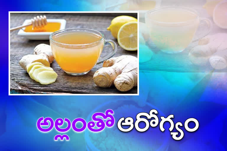 Health Benefits Of Ginger in telugu