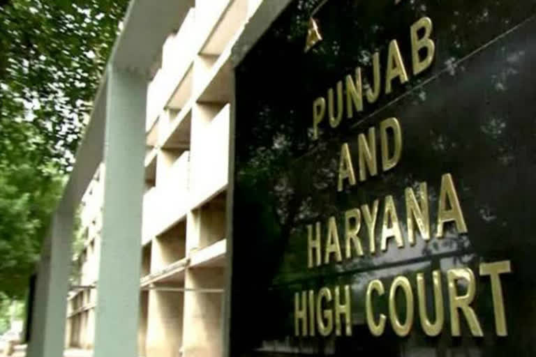 punjab haryana high court