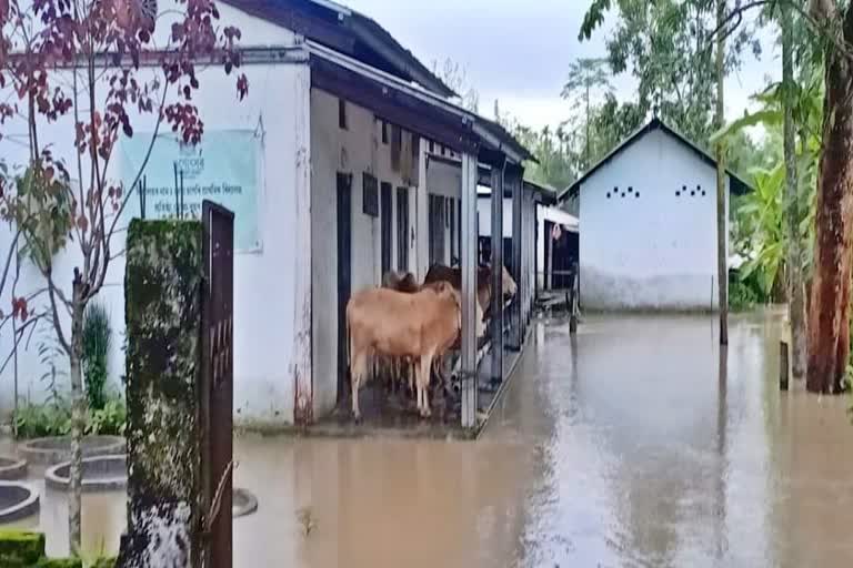 flood situation of jonai unchanged till now dhemaji assam etv bharat news