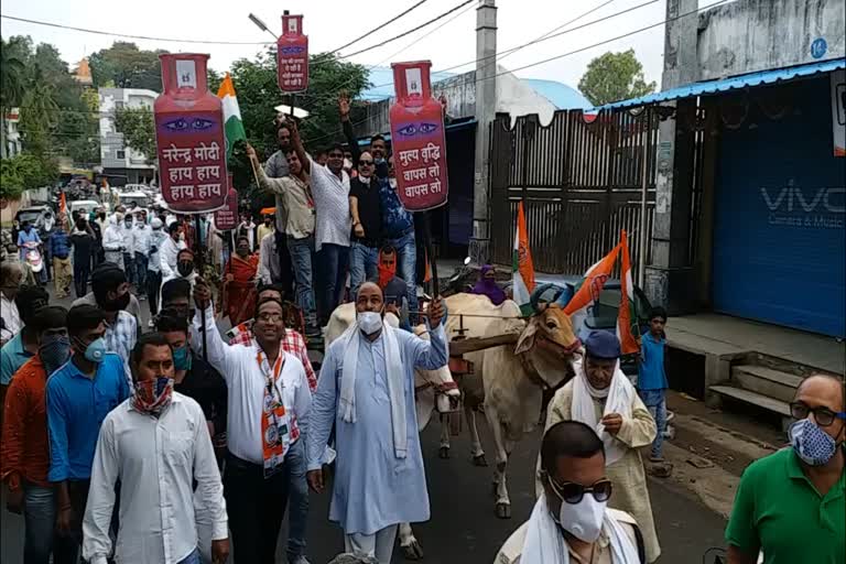 congress protest against petrol price rise