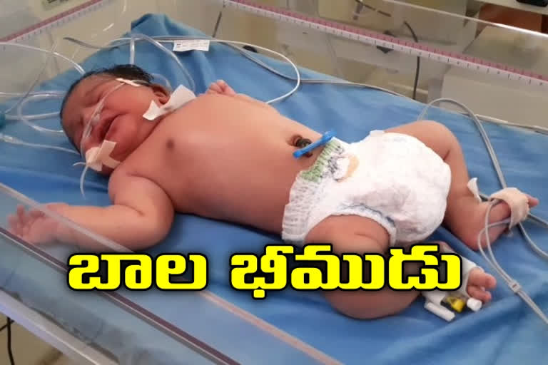 baby-boy-with-birth-weight-of-5-point-5-kg-born-point-at-nirmal-district