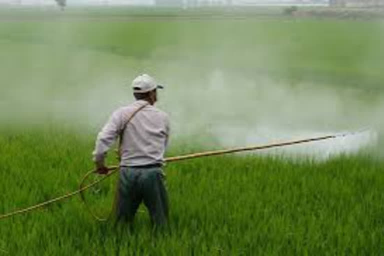 Banning 27 pesticides will handover market worth crores to China : CCFI