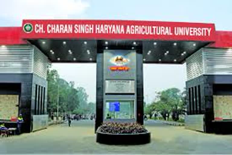 Webinar organized in chaudhary Charan Singh University on  on e-resources at e-library