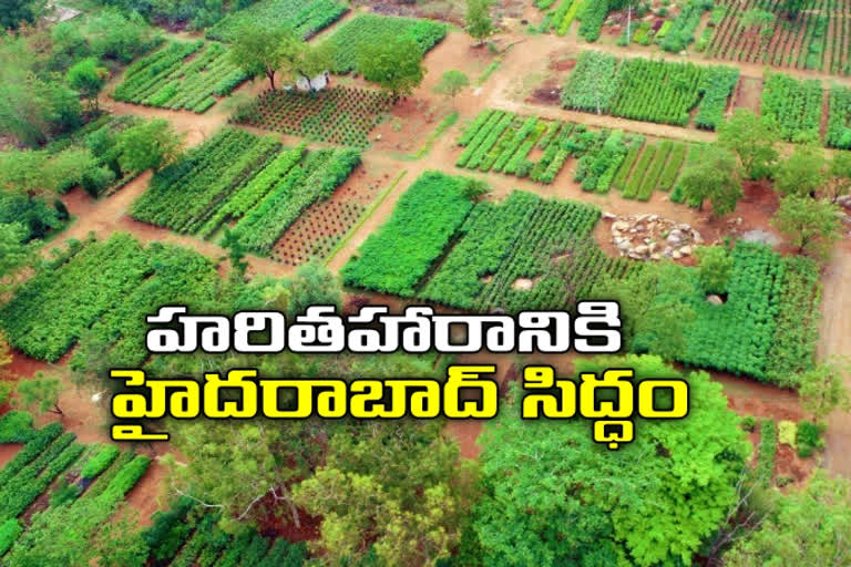 haritha haram