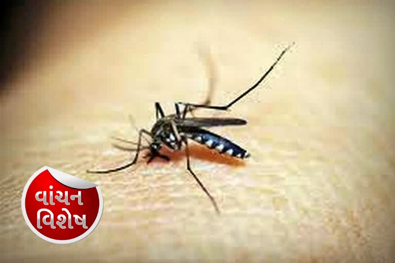 Monsoon stories -Diseases - Malaria