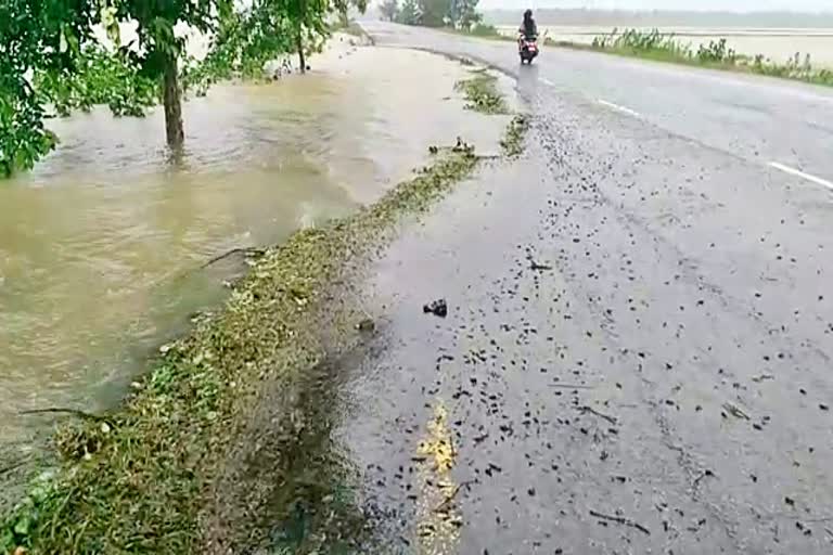 Flood at kakopathar tinsukia assam etv bharat news