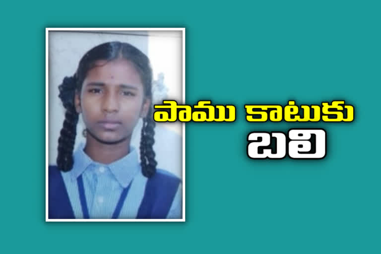 ssc student dies of snake bite