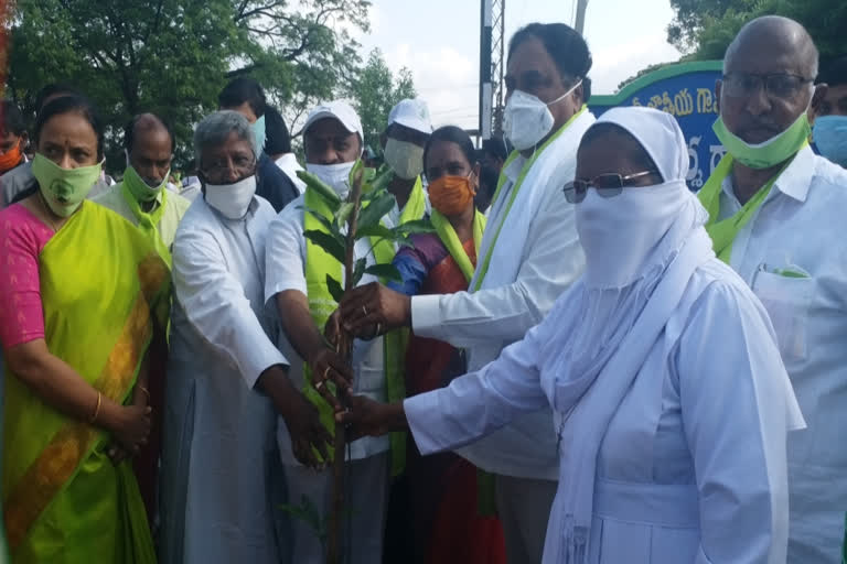 minister errabelli started haritha haram in warangal rural district