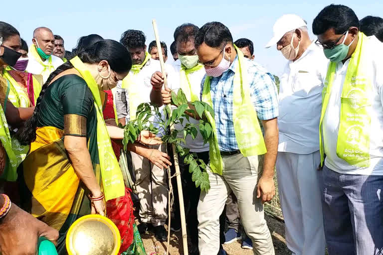 harithaharam program started by mla and collector at karimnagar