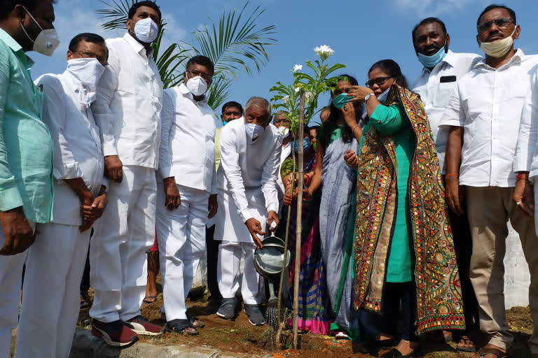 MLA Inaugurates Harotha HAram Program In MAnchirial