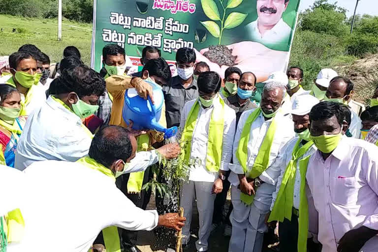 'నాటిన మొక్కను కాపాడుకోవాల్సిన బాధ్యత మనదే'