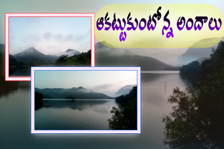 beautiful fog in rampachodavaram agency