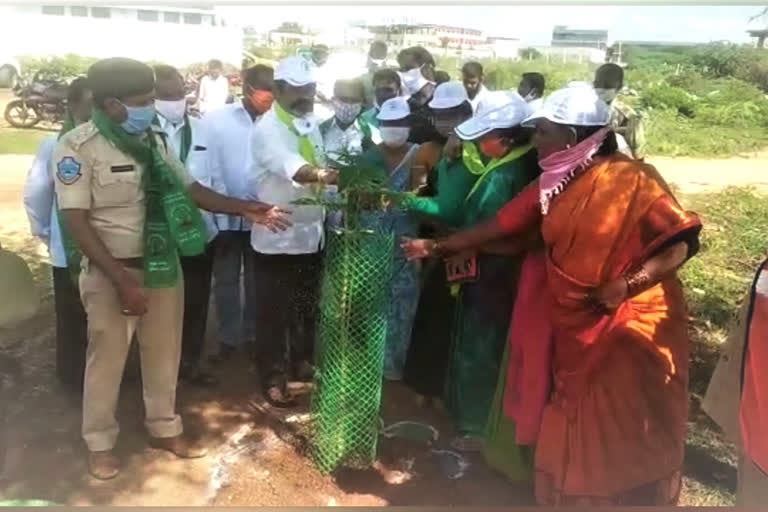 mla Ram mohan Reddy participated in harithaharam