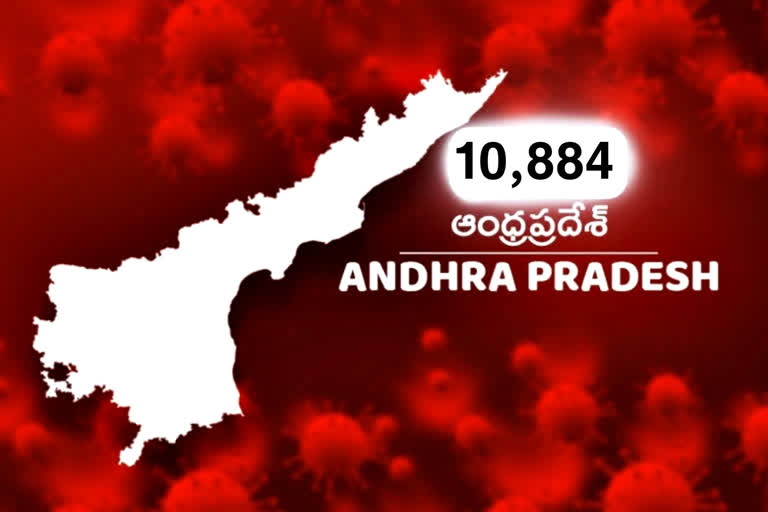 553-new-corona-cases-registered-in-andhrapradesh