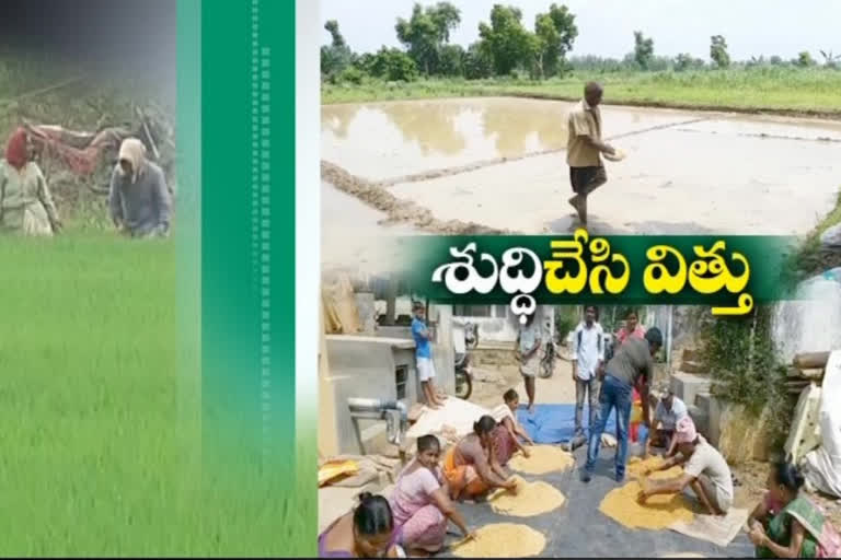 seed cleaning process in vizianagaram