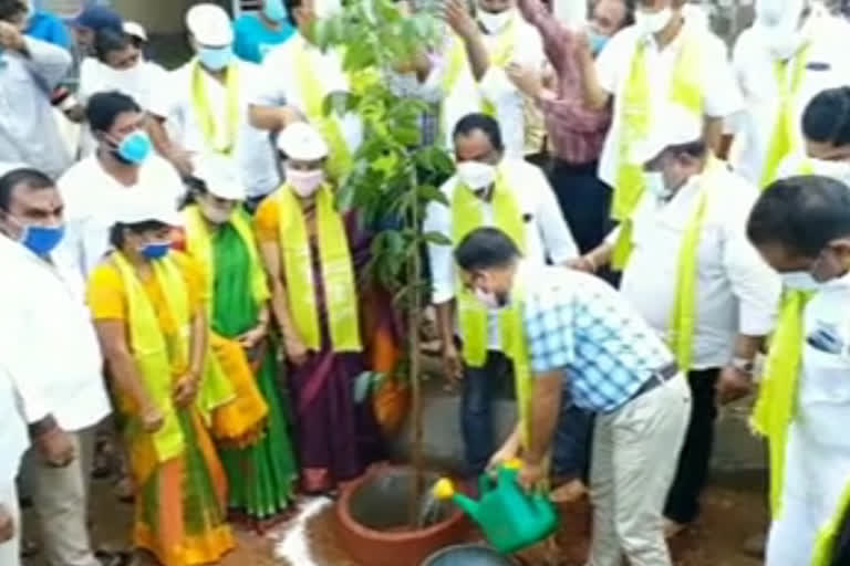 Minister Gangula kamalakar participated 6th term Harithaharam programme in Karimnagar