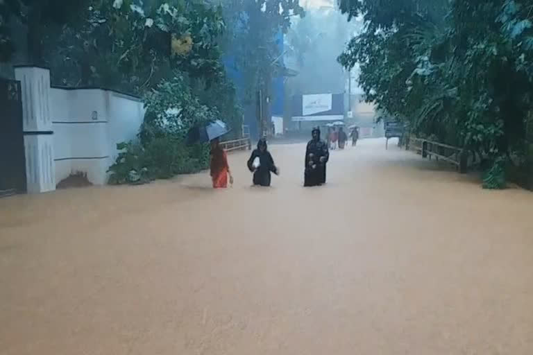 പാലക്കാട് പ്രളയം വാർത്ത  പാലക്കാട് പ്രളയ മുന്നൊരുക്കം  തദ്ദേശ സ്വയംഭരണ സ്ഥാപനങ്ങൾ  പാലക്കാട് പ്രളയ ക്യാമ്പുകൾ  palakkad flood news  local self government institutions news  flood precautions palakkad news