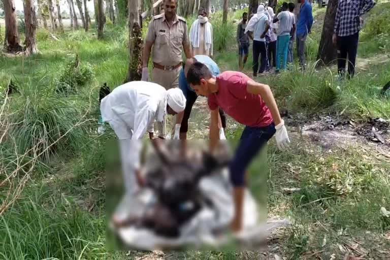 2 dead body found in rohtak