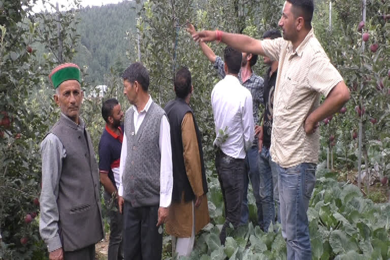 Rohru gardeners